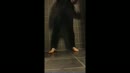 ., film 00:00:12, 2 reacties, 15 stemmen
