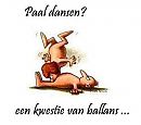 11, foto 1080x959, 0 reacties, 5 stemmen