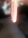 123, foto 1728x2304, 1 reacties, 2 stemmen