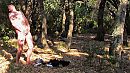 2015 In het bos, foto 1845x1040, 4 reacties, 12 stemmen