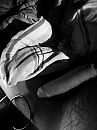 ..., foto 1728x2304, 0 reacties, 1 stemmen