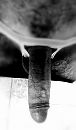 .., foto 1360x2304, 0 reacties, 2 stemmen