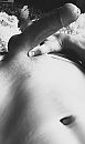 :P, foto 720x1201, 89 reacties, 163 stemmen