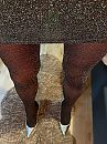 ???, foto 3000x4000, 1 reacties, 2 stemmen
