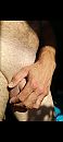 3, foto 720x1600, 1 reacties, 5 stemmen