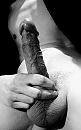 .3, foto 1795x2874, 8 reacties, 13 stemmen