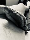 Aderen…., foto 3000x4000, 3 reacties, 2 stemmen
