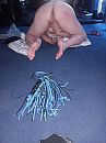 Afge..., foto 600x800, 10 reacties, 66 stemmen