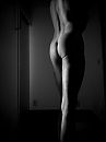 Faint light, foto 3000x4000, 2 reacties, 5 stemmen