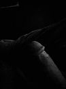 Always sleeping naked., foto 1536x2048, 1 reacties, 2 stemmen