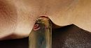Ass Toying deel 2, foto 2605x1403, 0 reacties, 4 stemmen