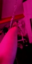 Avondje in de sling, film 00:00:03, 6 reacties, 25 stemmen