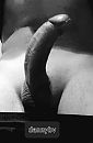 B&W dick, foto 710x1078, 0 reacties, 5 stemmen