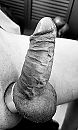 B&W pikkie, foto 1816x3023, 11 reacties, 16 stemmen