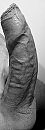 B&W, foto 339x960, 4 reacties, 19 stemmen