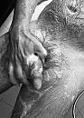 B&W, foto 2145x2975, 6 reacties, 7 stemmen