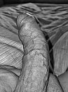 B&W, foto 1847x2463, 7 reacties, 21 stemmen