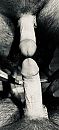 BW#mirror, foto 1822x4000, 3 reacties, 13 stemmen
