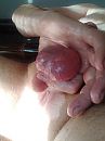 Balls on fire, foto 1932x2576, 1 reacties, 5 stemmen