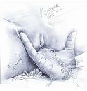 Beauty, foto 460x480, 2 reacties, 14 stemmen