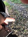Begin van de herfst, foto 3000x4000, 1 reacties, 5 stemmen