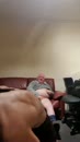 Beiden geil 6, film 00:00:00, 5 reacties, 25 stemmen