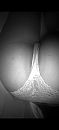 Ben wel wat......, foto 1080x2340, 34 reacties, 186 stemmen