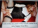 Bi sissy, foto 4000x3000, 14 reacties, 49 stemmen