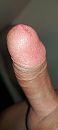 Bi, foto 1802x4000, 3 reacties, 5 stemmen