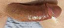 Big, foto 4000x1801, 2 reacties, 14 stemmen