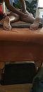 Bij de masseur......, foto 1892x4000, 9 reacties, 40 stemmen
