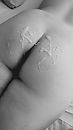 Billen ondergespoten, foto 2250x4000, 12 reacties, 69 stemmen