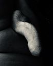 Black & white, foto 514x640, 0 reacties, 4 stemmen