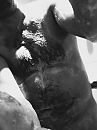 Black and white douche, foto 471x629, 0 reacties, 1 stemmen