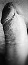 Black and white, foto 703x1593, 2 reacties, 3 stemmen