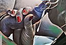 Blowjob tot kunst verheven, foto 1080x748, 20 reacties, 98 stemmen
