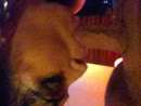 Blowjob, film 00:00:00, 6 reacties, 70 stemmen
