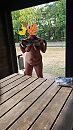 Bluf?, foto 2250x4000, 4 reacties, 70 stemmen