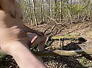 Boomstam, foto 4000x3000, 3 reacties, 9 stemmen