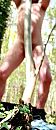 Bos, foto 1038x2405, 0 reacties, 3 stemmen