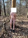 Bos, foto 3000x4000, 17 reacties, 41 stemmen