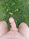 Boterbloem, foto 3000x4000, 1 reacties, 3 stemmen