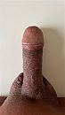 Bruin, foto 675x1200, 6 reacties, 13 stemmen