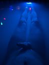 Bubbel bad zonder bubbels, foto 3000x4000, 4 reacties, 11 stemmen