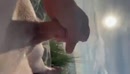 Buiten genieten, film 00:00:00, 3 reacties, 10 stemmen