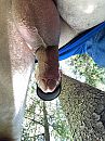 Buiten, foto 2320x3088, 3 reacties, 7 stemmen