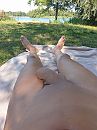 Bussloo, foto 3000x4000, 8 reacties, 29 stemmen