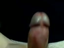 Close-up zaad, film 00:00:00, 4 reacties, 8 stemmen