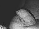 Close-up 65, foto 4000x3000, 0 reacties, 2 stemmen