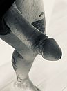 Close but No sigar, foto 1536x2048, 0 reacties, 5 stemmen